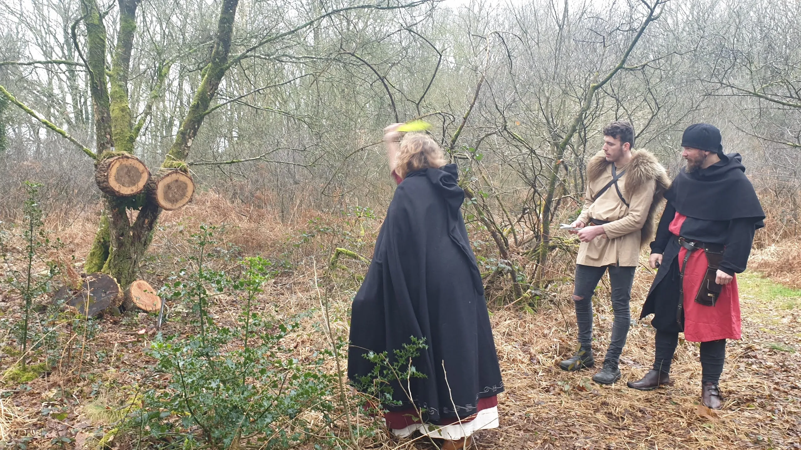 Viking Photo 004