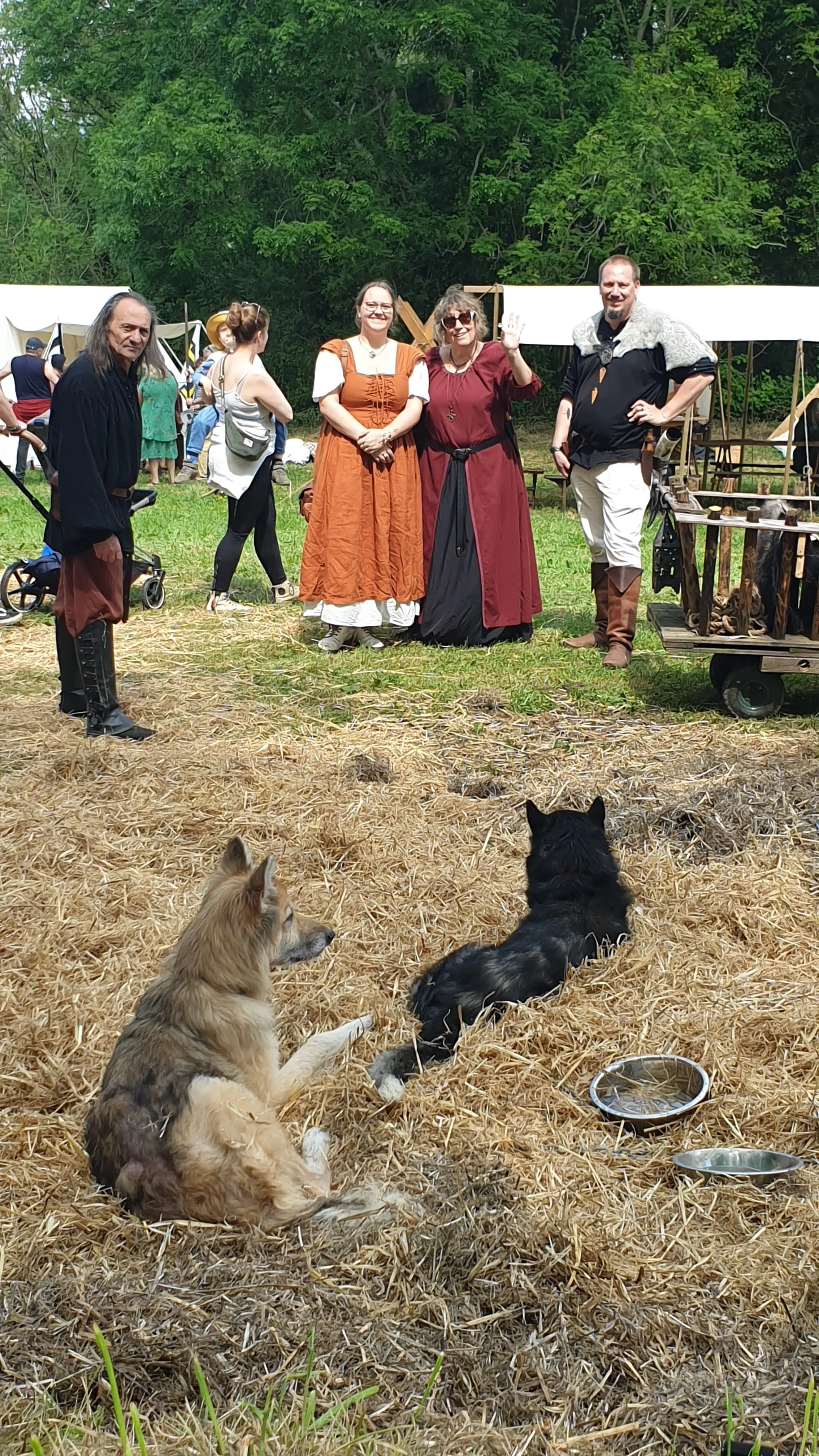 Viking Photo 028