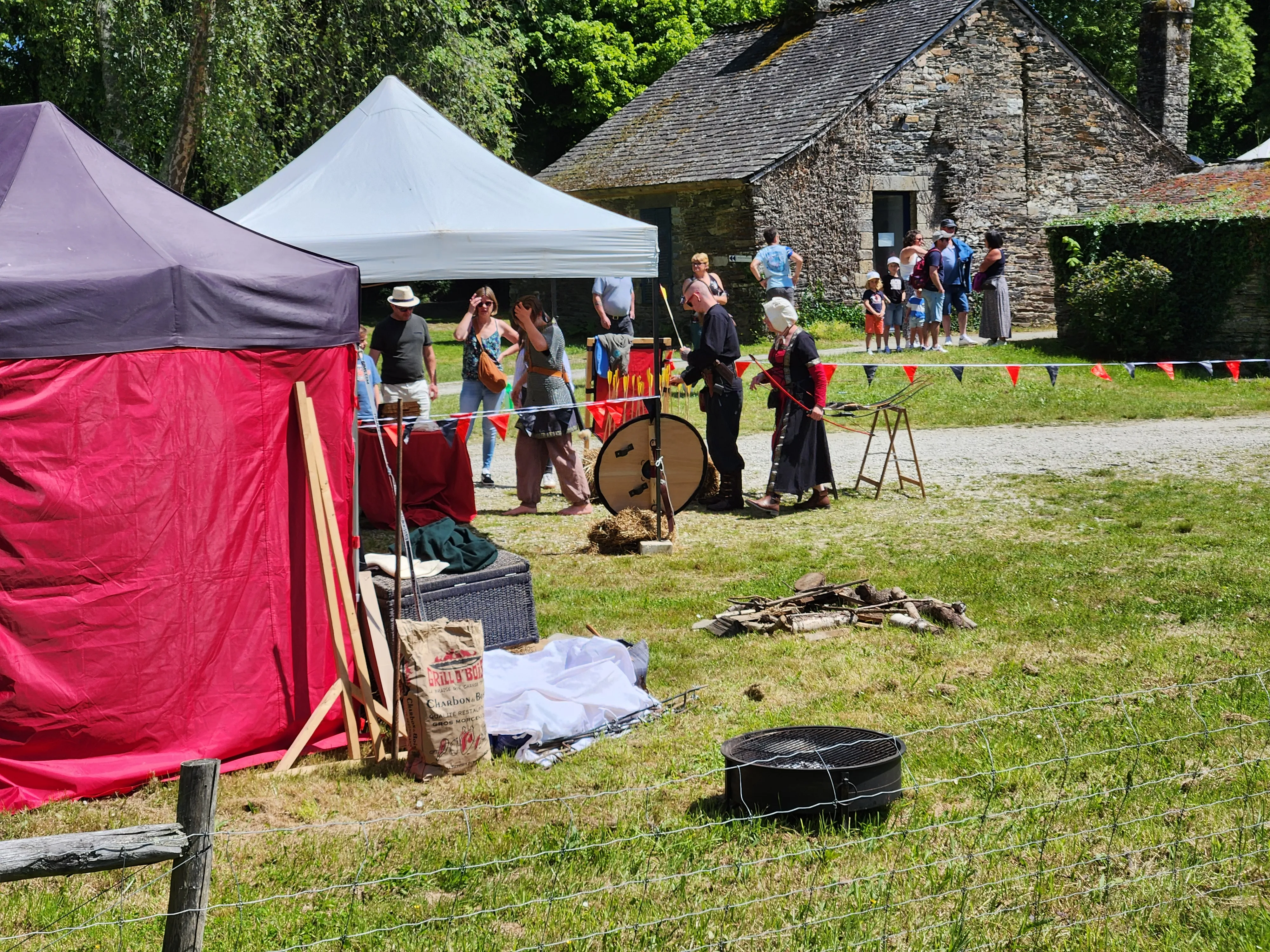 Viking Photo 035