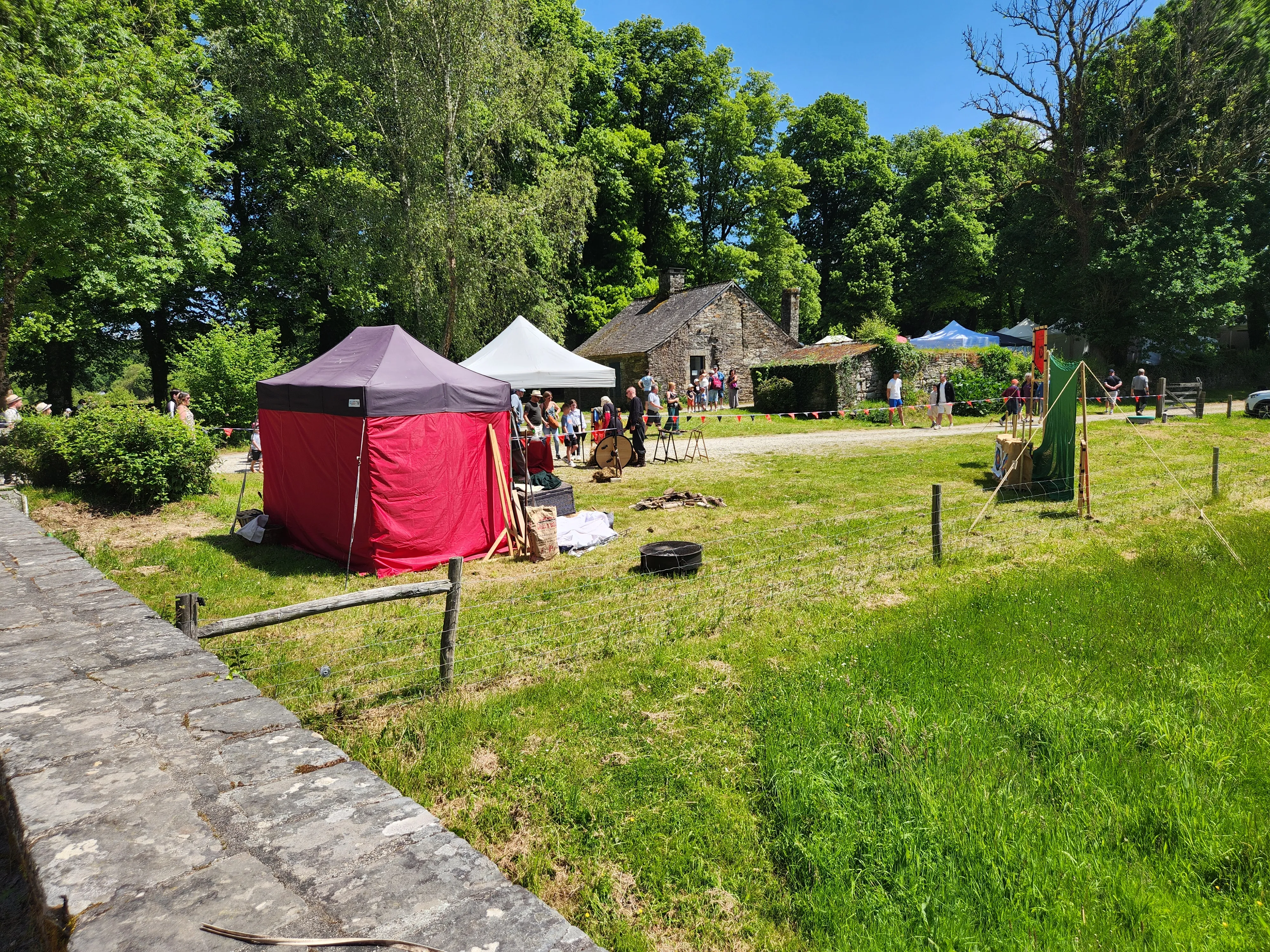 Viking Photo 036