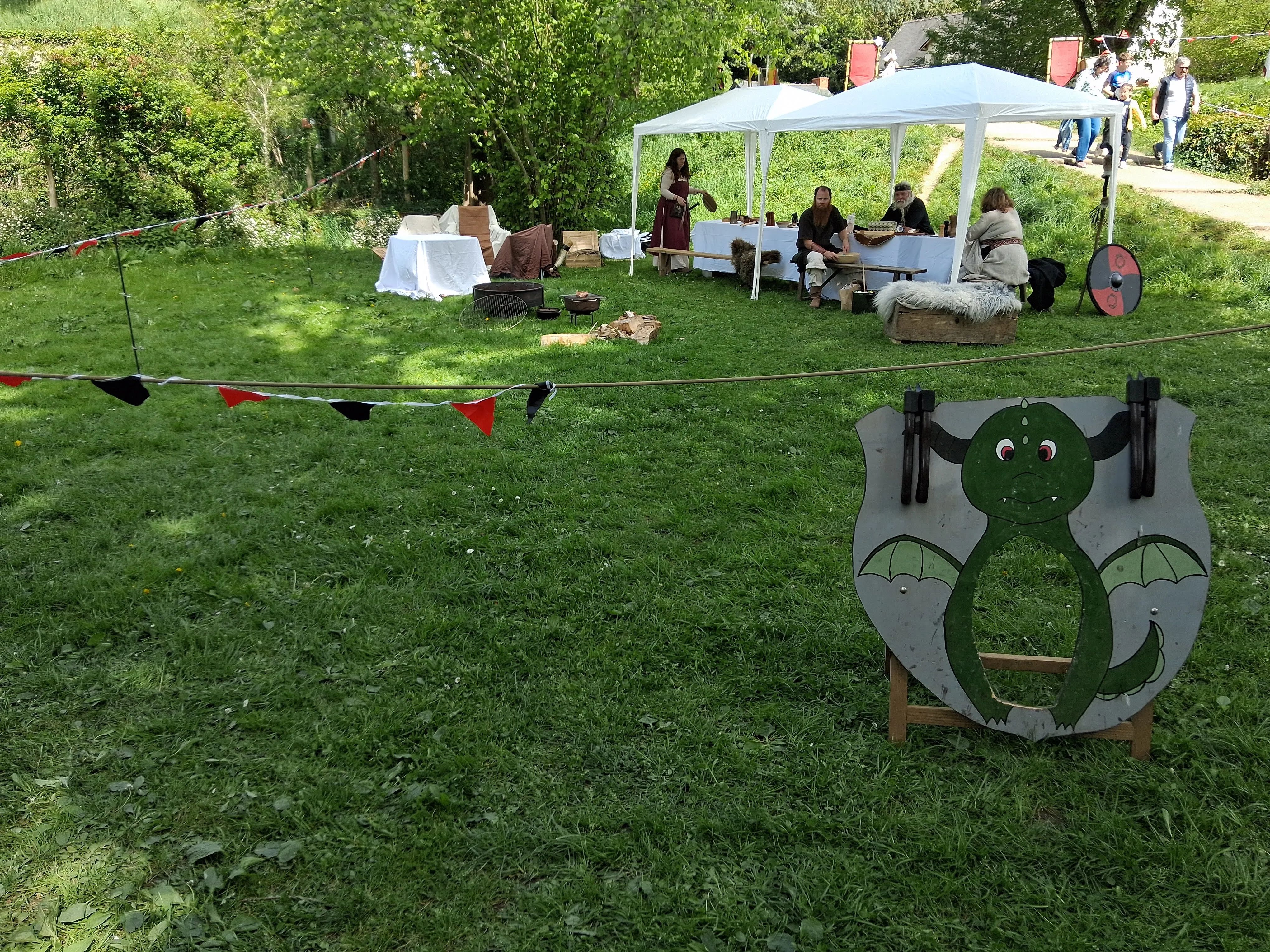 Viking Photo 053
