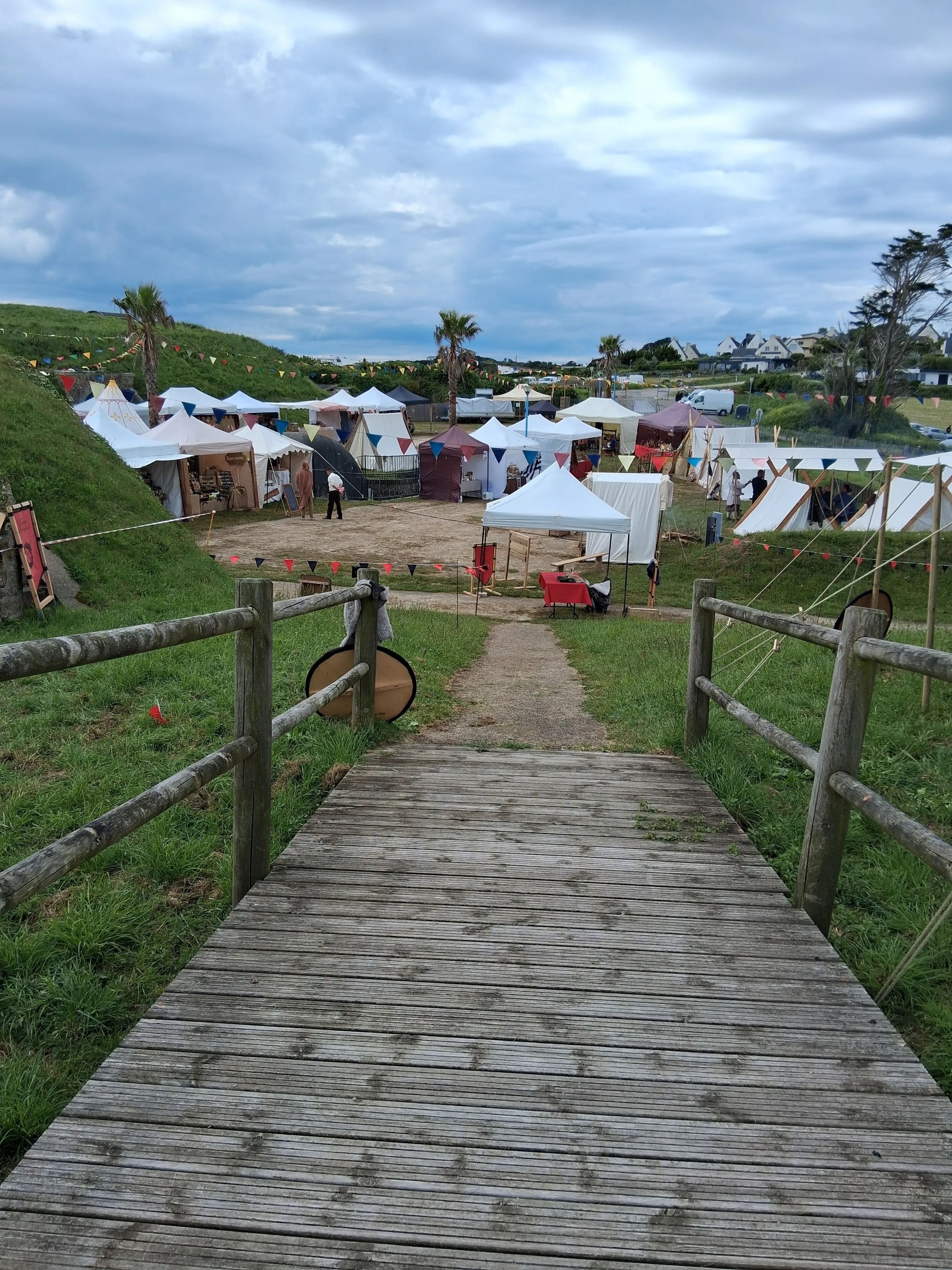 Viking Photo 074