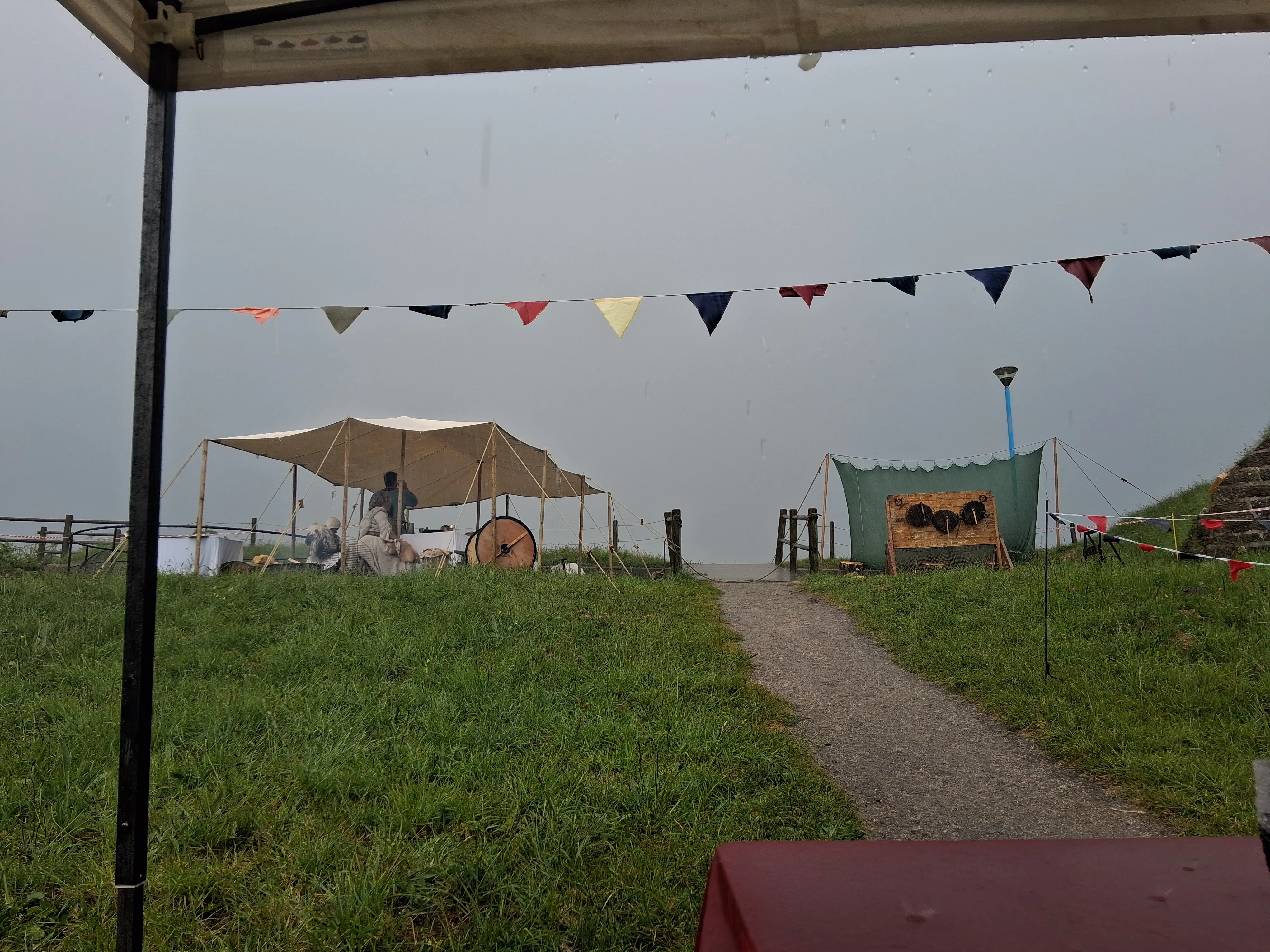 Viking Photo 079