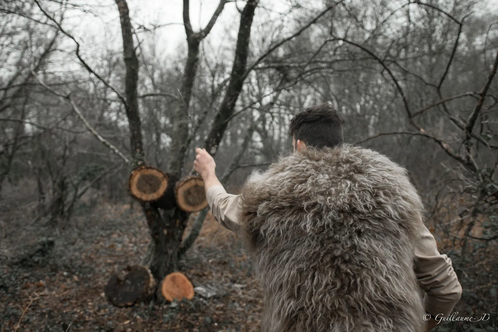 Viking Photo 104